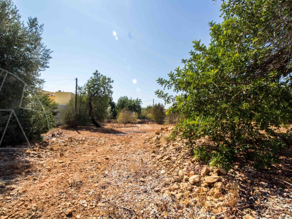 Land_for_sale_in_Olhão_SMA9031