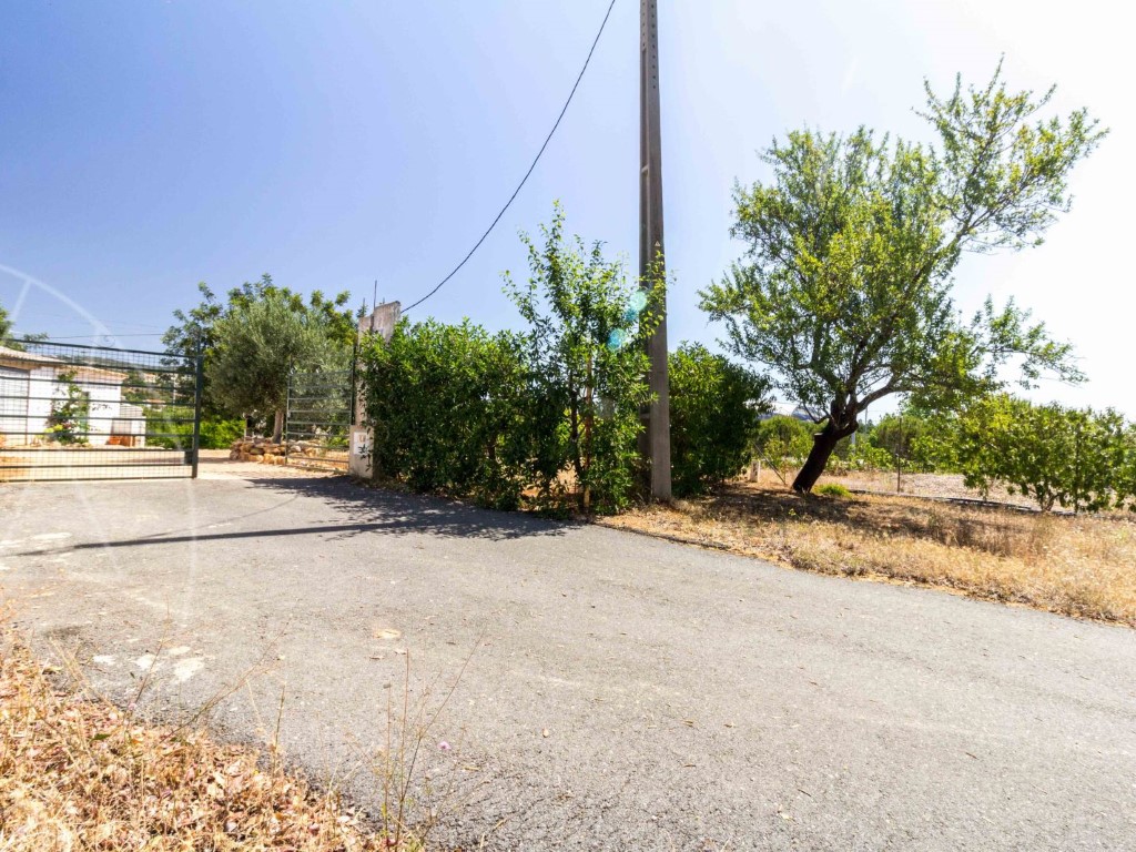 Ruins_for_sale_in_Loulé_SMA9051