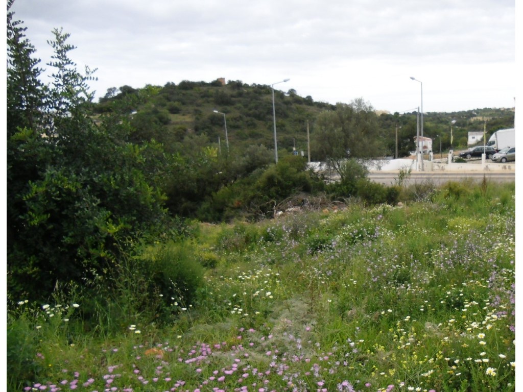 Plot_for_sale_in_Loulé_SMA9075